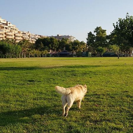 Primera Linea Acapulco III Oropesa del Mar Ngoại thất bức ảnh